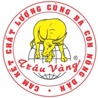 Trâu vàng