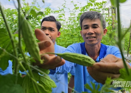 NÔNG DÂN THOÁT NGHÈO NHỜ NẮM VỮNG THÔNG TIN THỊ TRƯỜNG