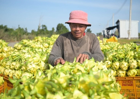 THANH LONG LÂM ĐỒNG HƯỚNG TỚI GIẢM PHÁT THẢI