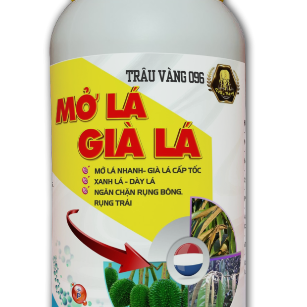 MỞ LÁ - GIÀ LÁ 500ml