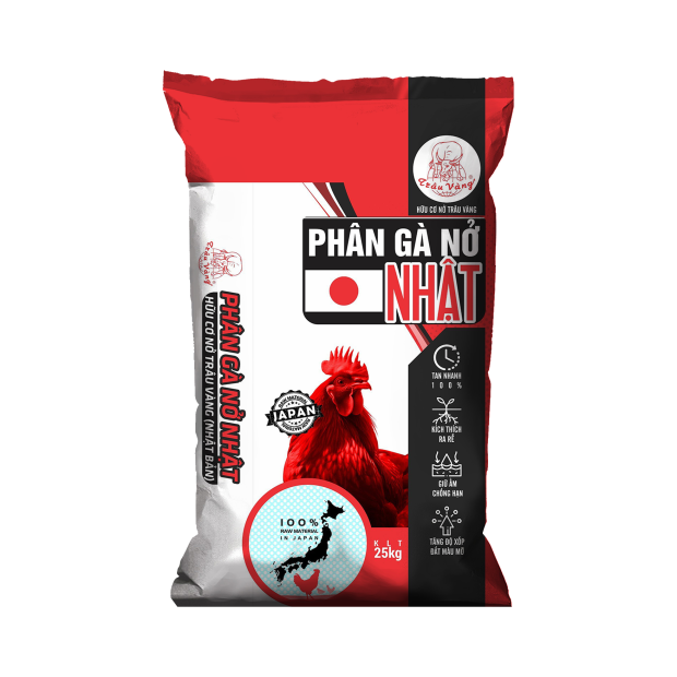 PHÂN GÀ NỞ NHẬT
