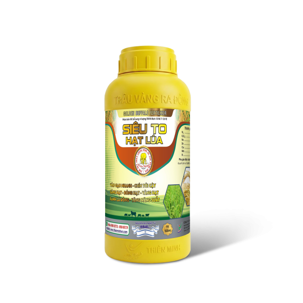 SIÊU TO HẠT LÚA (500ml)