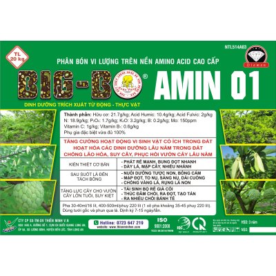 BIG-BO AMINO 01