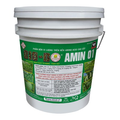 BIG-BO AMINO 01