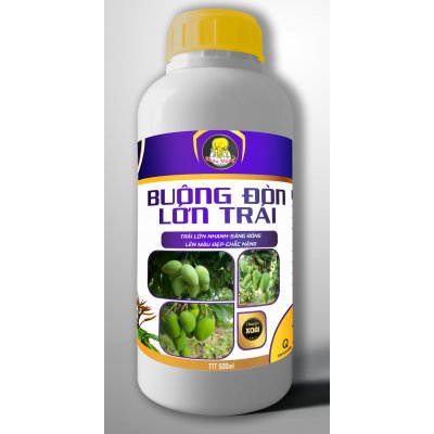 BUÔNG ĐÒN LỚN TRÁI - 500ml