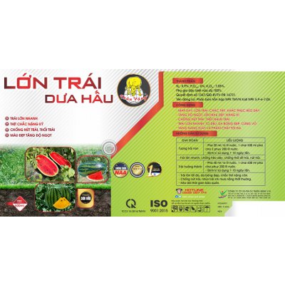 LỚN TRÁI DƯA HẤU - 500ml