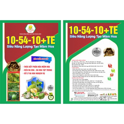 10-54-10+TE