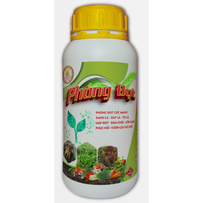 PHÓNG ĐỌT