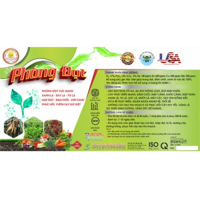 PHÓNG ĐỌT