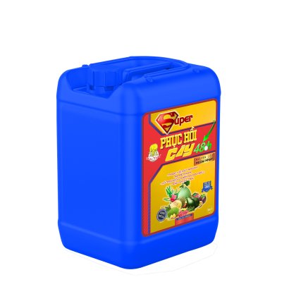 PHỤC- HỒI -CÂY -48H