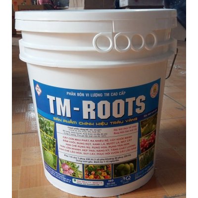 TM-ROOTS XANH