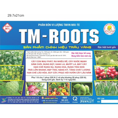 TM ROOT