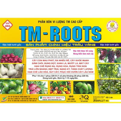 TM ROOTS