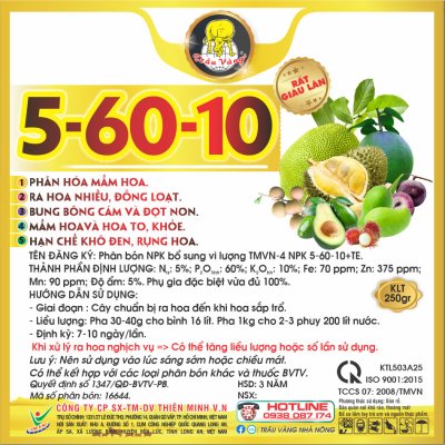 5-60-10