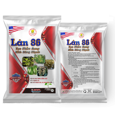 LÂN 86