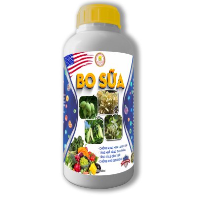 BO SỮA