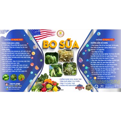 BO SỮA