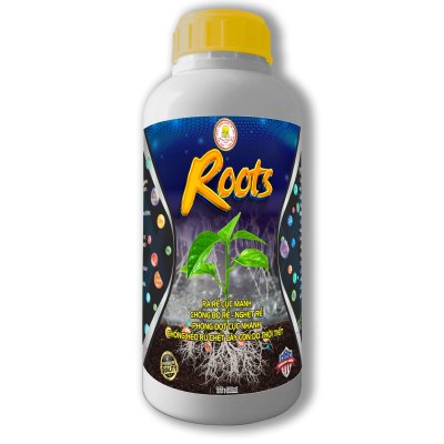 ROOTS