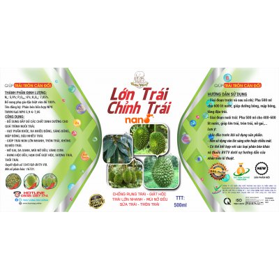 LỚN TRÁI - CHỈNH TRÁI NON 